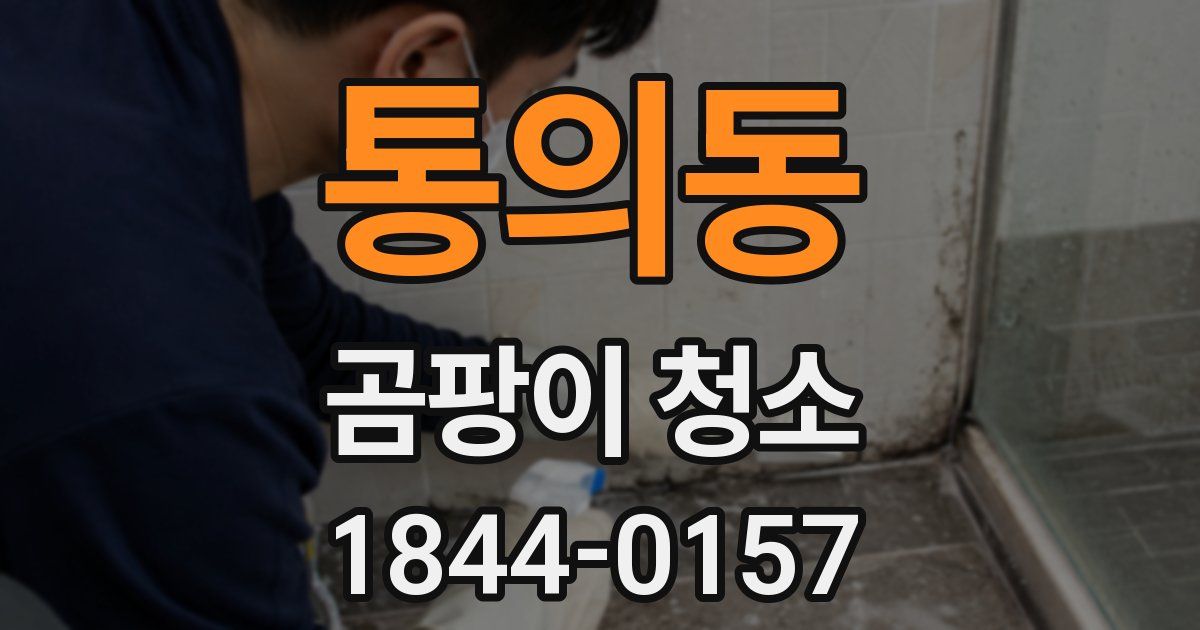통의동 곰팡이 청소