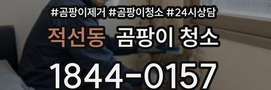 적선동 곰팡이 청소