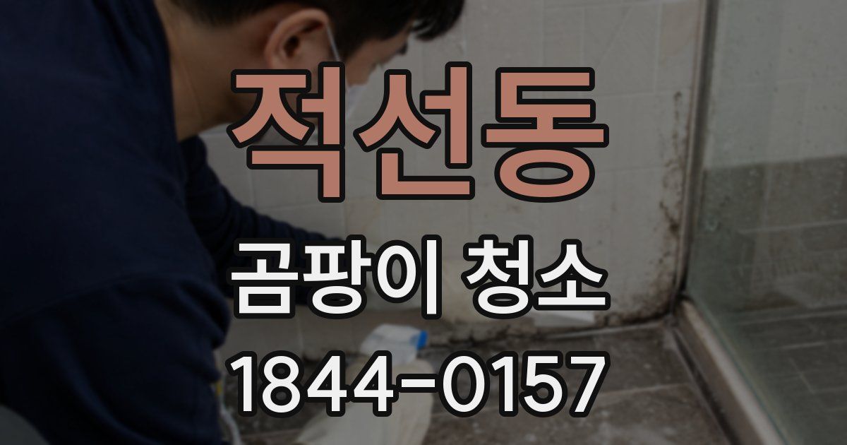 적선동 곰팡이 청소
