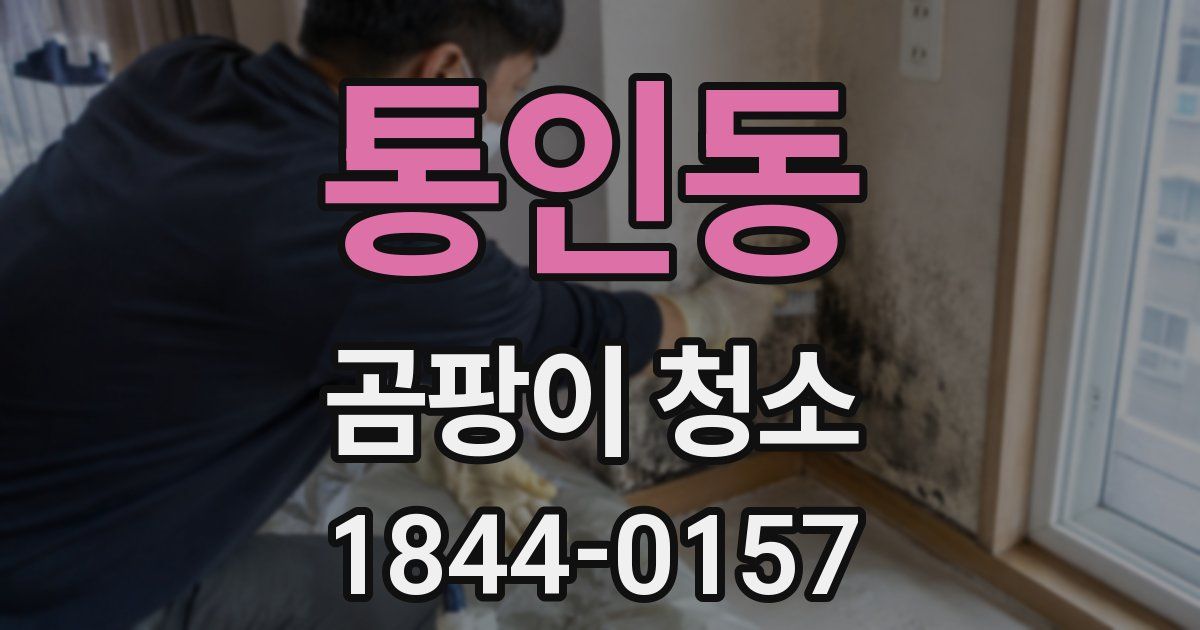 통인동 곰팡이 청소
