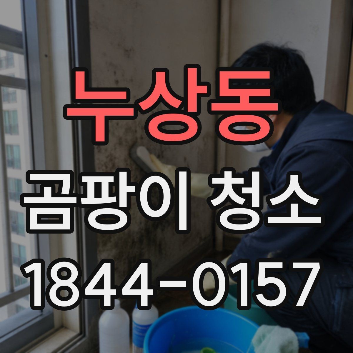 누상동 곰팡이 청소 아이방 천장과 벽 모서리를 함께 점검하는 법