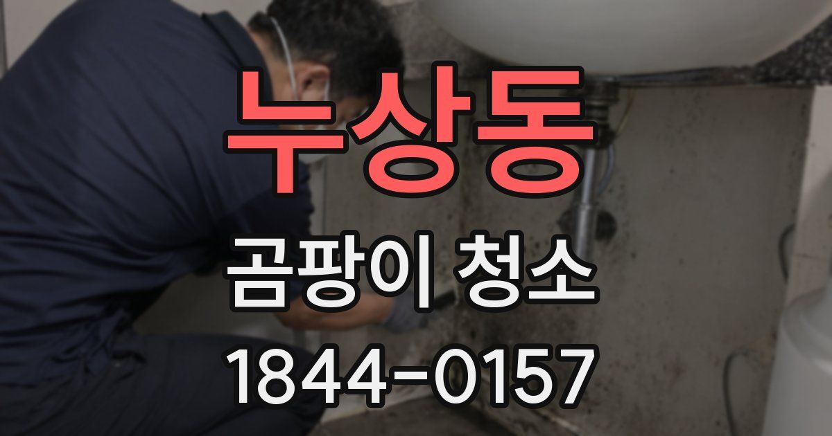 누상동 곰팡이 청소