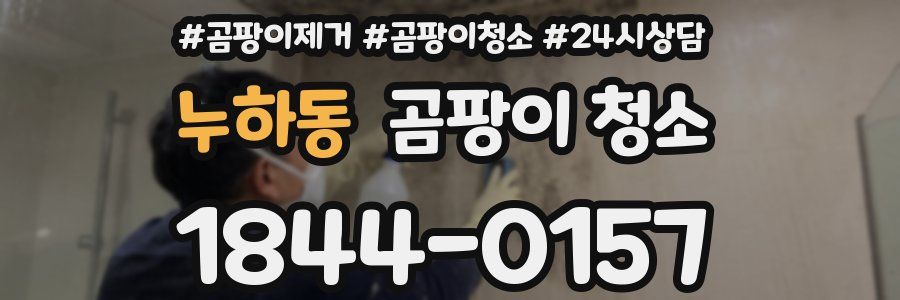 누하동 곰팡이 청소