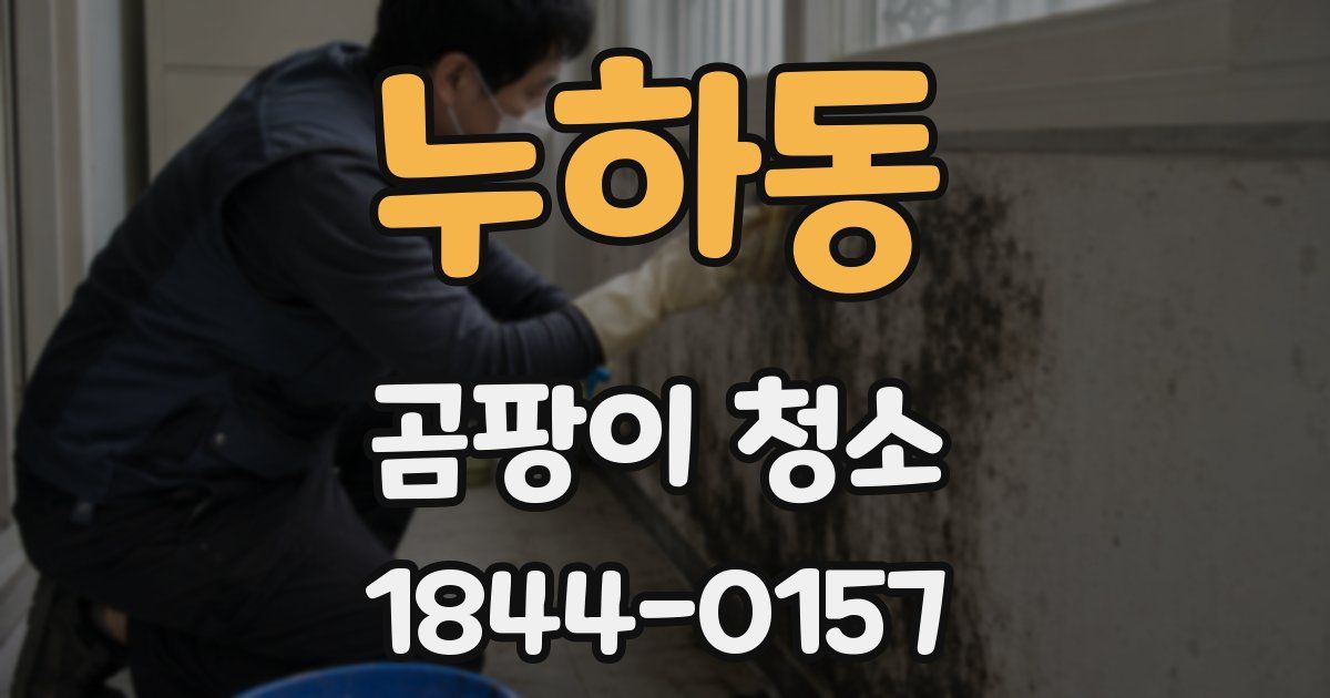 누하동 곰팡이 청소