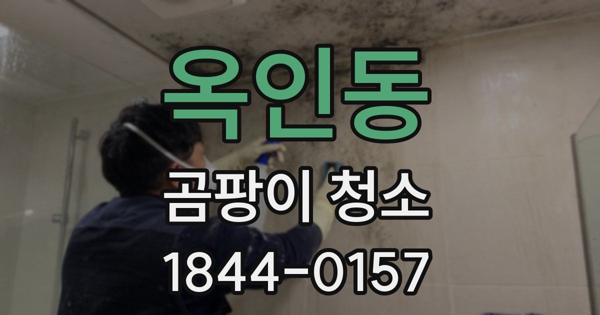 옥인동 곰팡이 청소