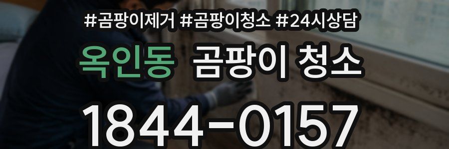 옥인동 곰팡이 청소