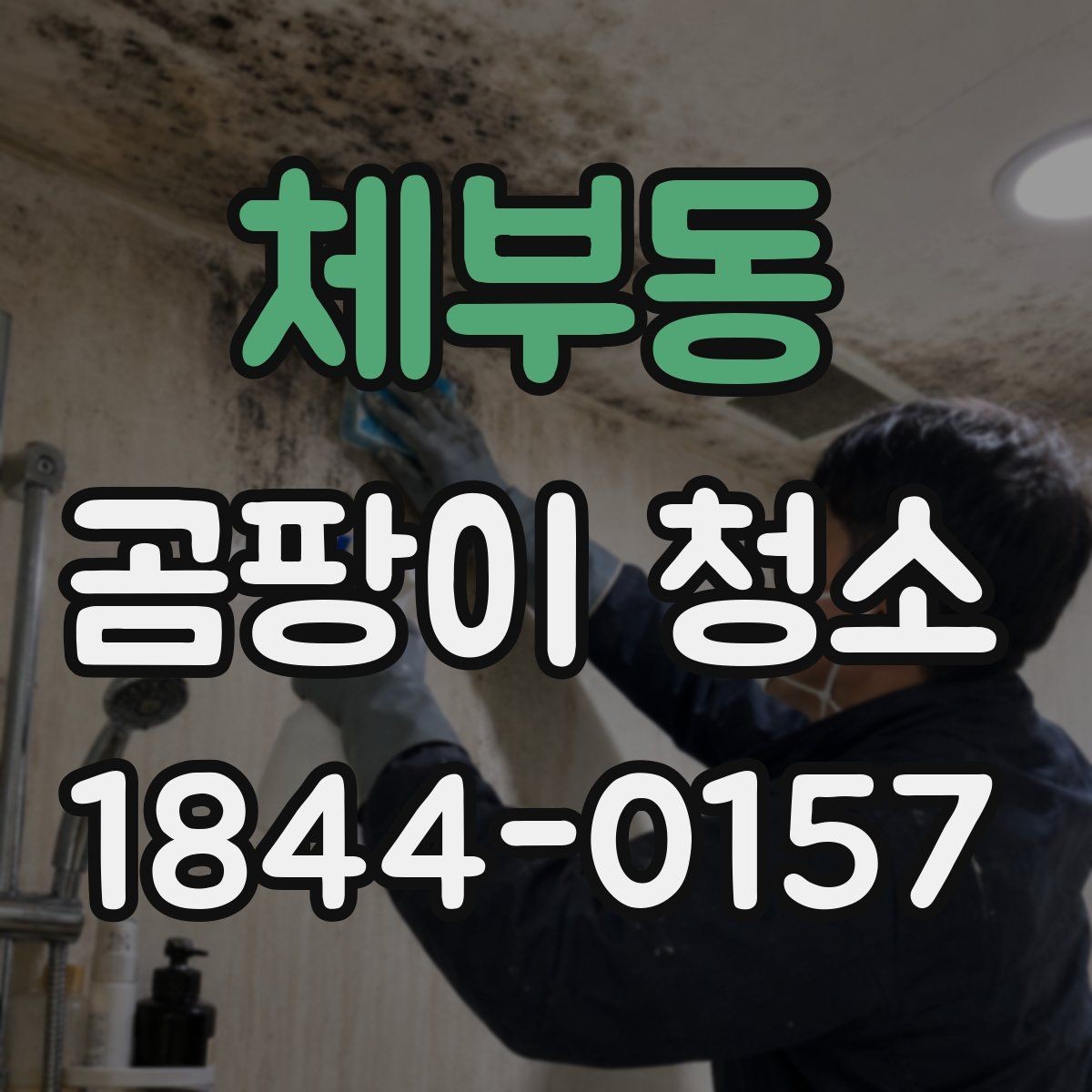 체부동 곰팡이 청소 아이방에서 포자 날림을 줄이는 준비