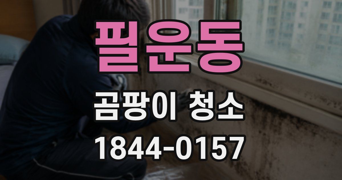필운동 곰팡이 청소