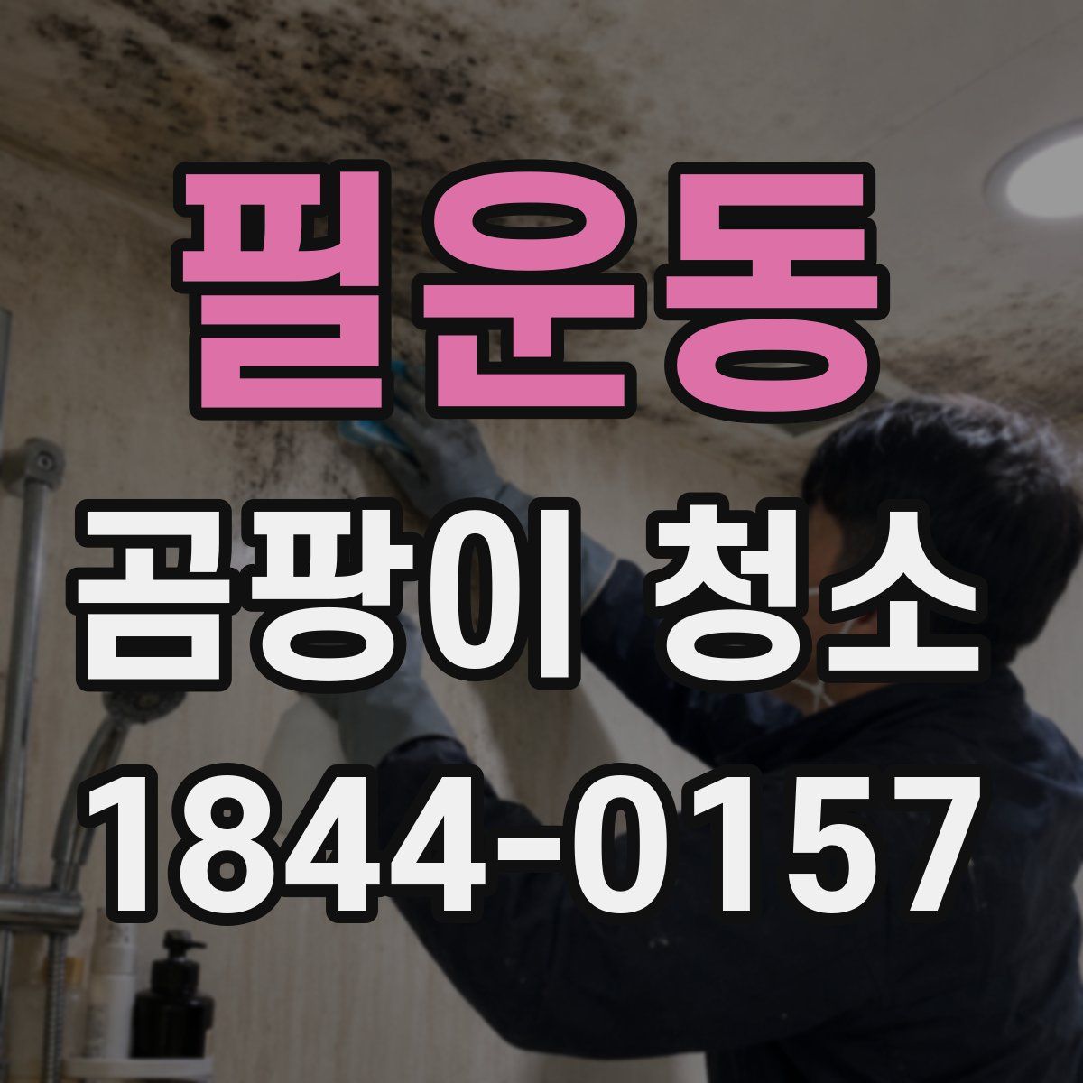 필운동 곰팡이 청소