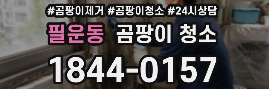 필운동 곰팡이 청소