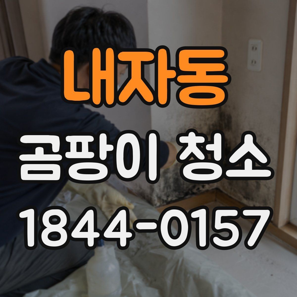 내자동 곰팡이 청소 천장과 벽 모서리까지 살펴야 하는 이유
