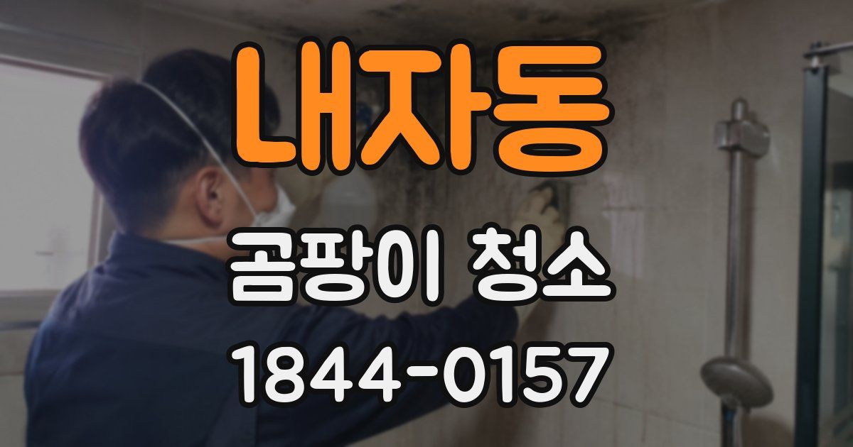 내자동 곰팡이 청소