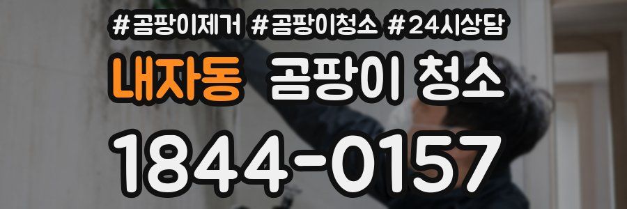내자동 곰팡이 청소