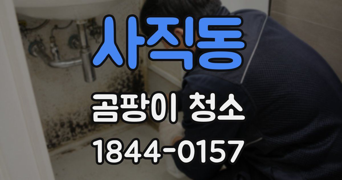 사직동 곰팡이 청소