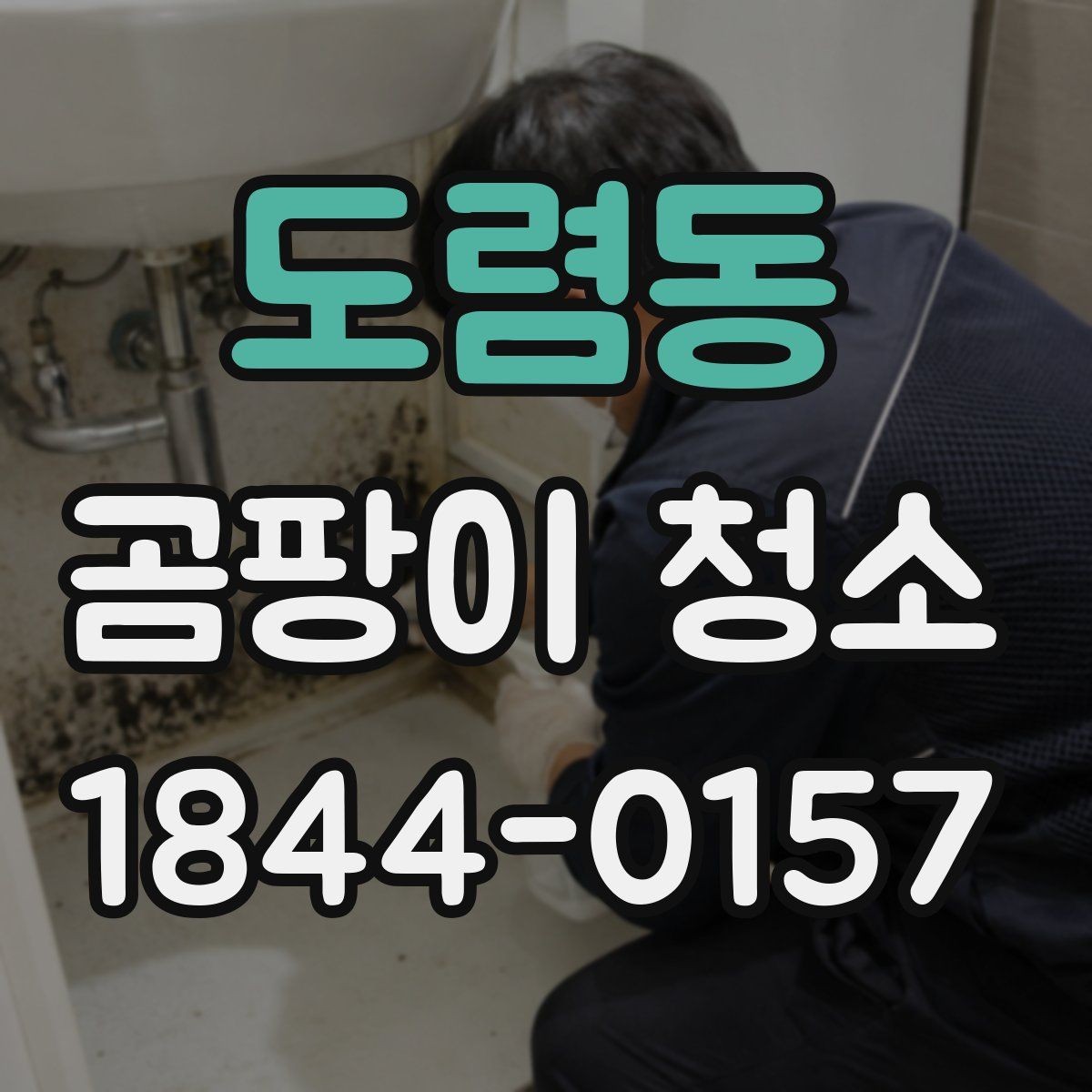 도렴동 곰팡이 청소 배수구 주변이 반복 오염되는 배경 살피기