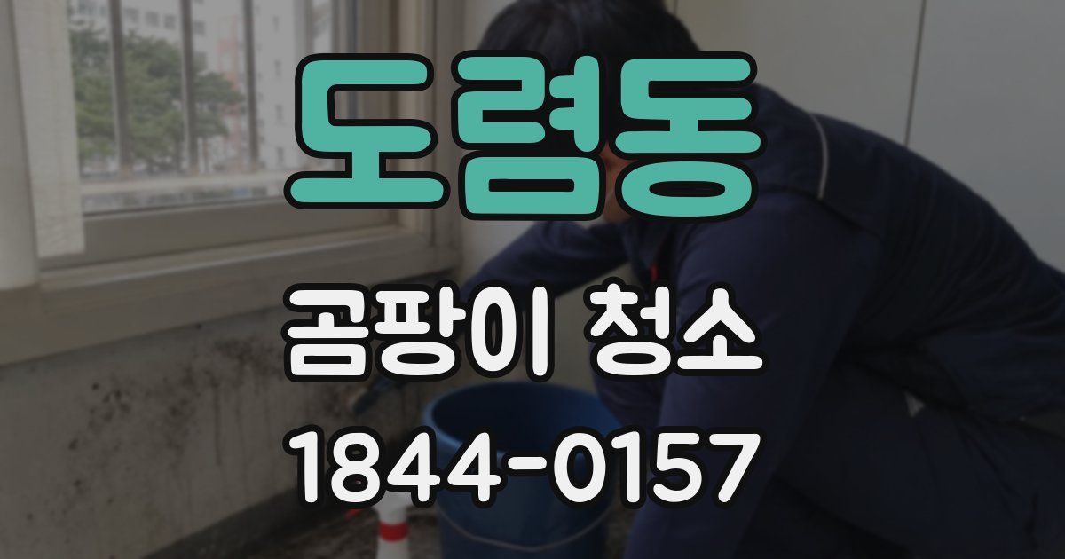 도렴동 곰팡이 청소