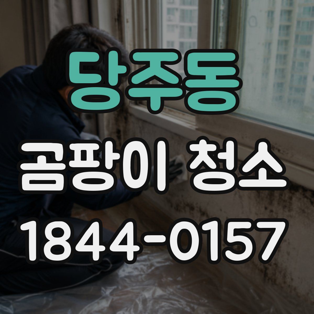 당주동 곰팡이 청소