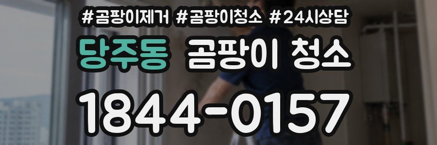 당주동 곰팡이 청소