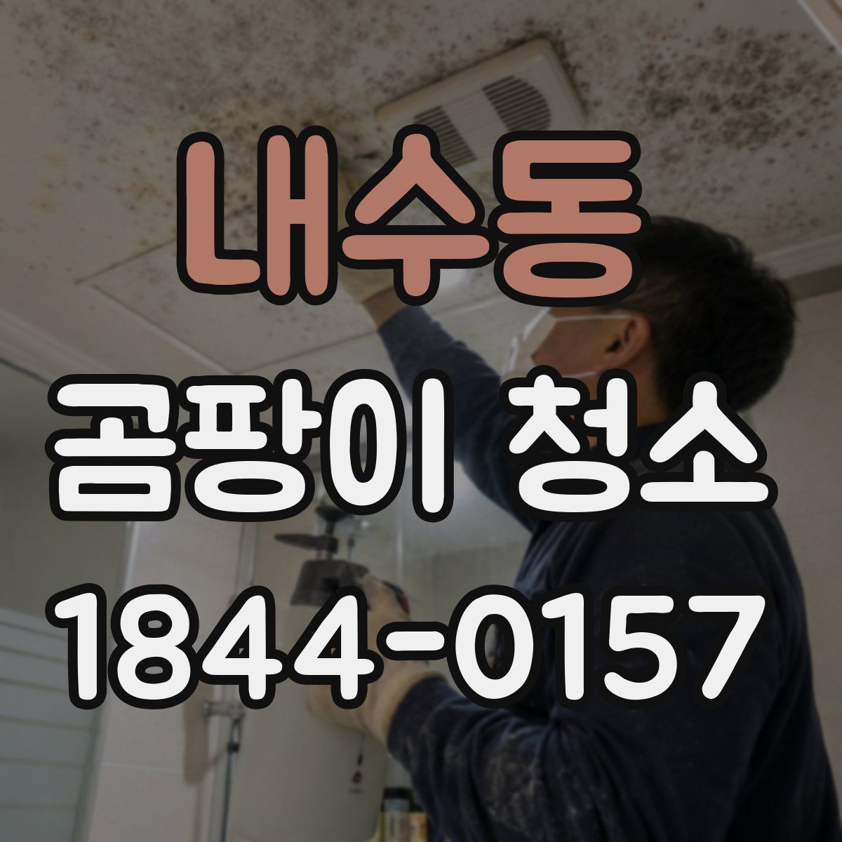 내수동 곰팡이 청소