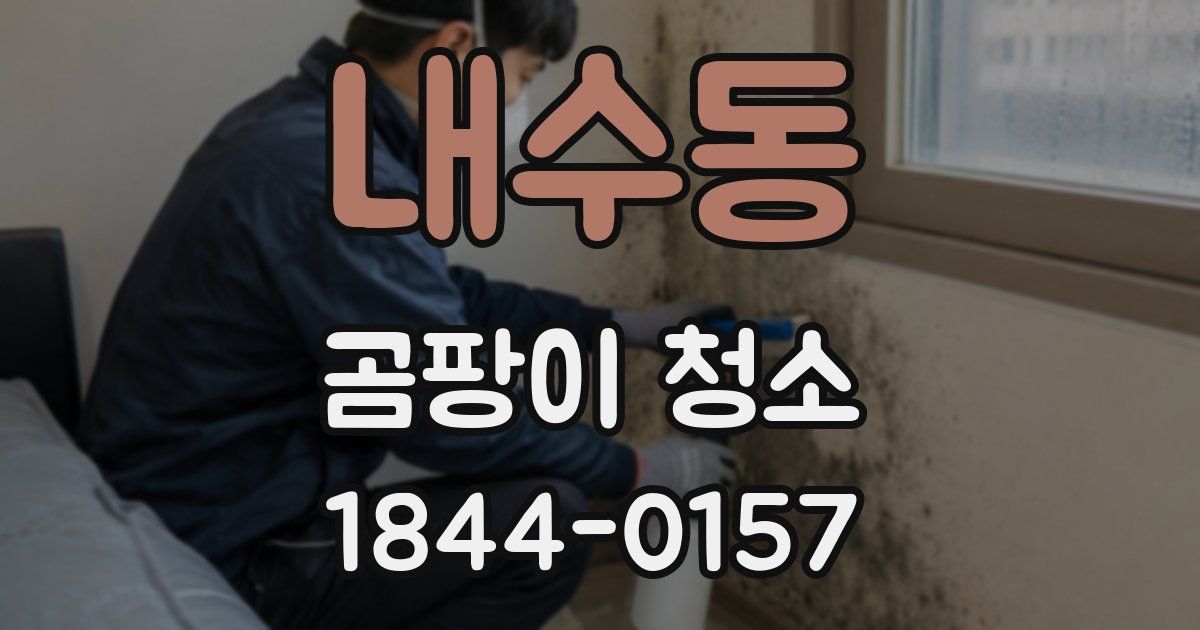 내수동 곰팡이 청소