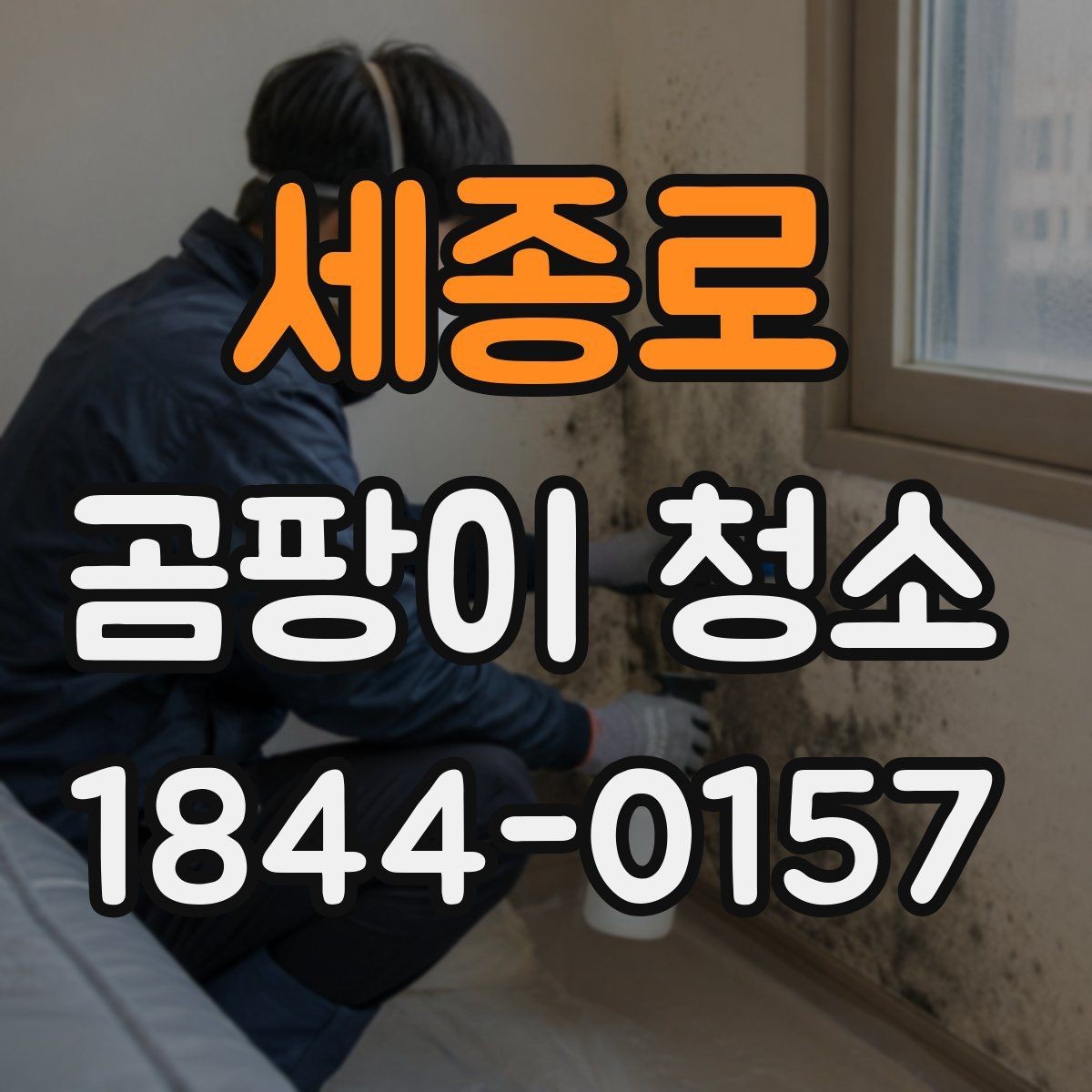세종로 곰팡이 청소 천장 몰딩 주변에 생긴 자국을 처리하는 방법