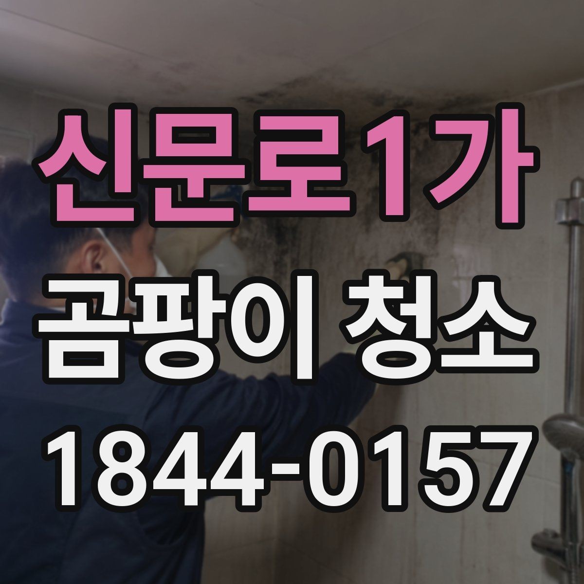 신문로1가 곰팡이 청소 주방 벽면의 습기 흔적을 함께 살피는 방법