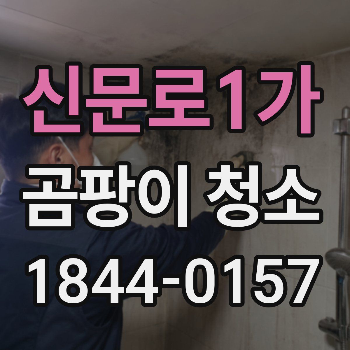 신문로1가 곰팡이 청소