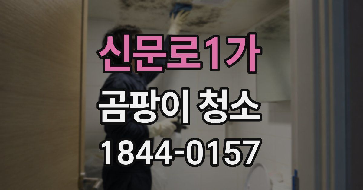 신문로1가 곰팡이 청소