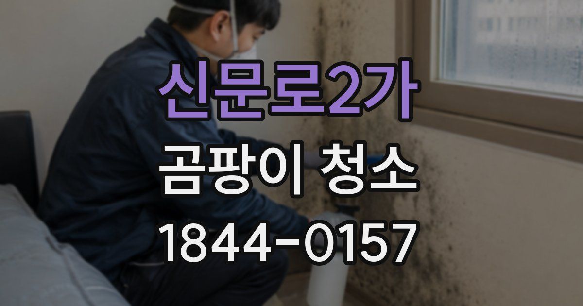 신문로2가 곰팡이 청소