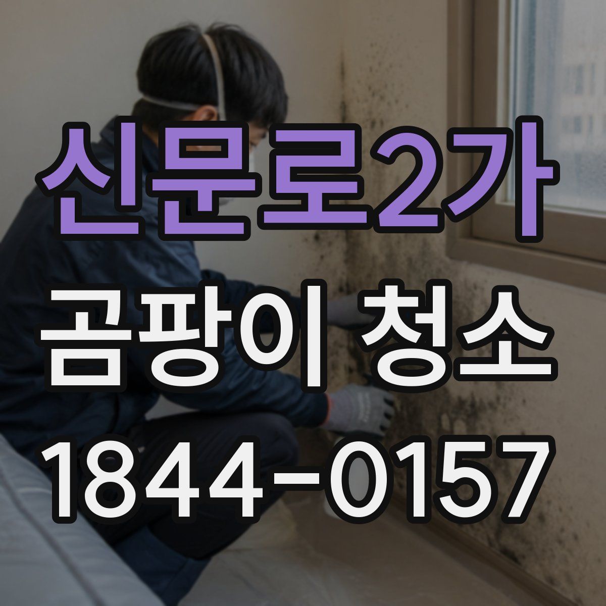 신문로2가 곰팡이 청소