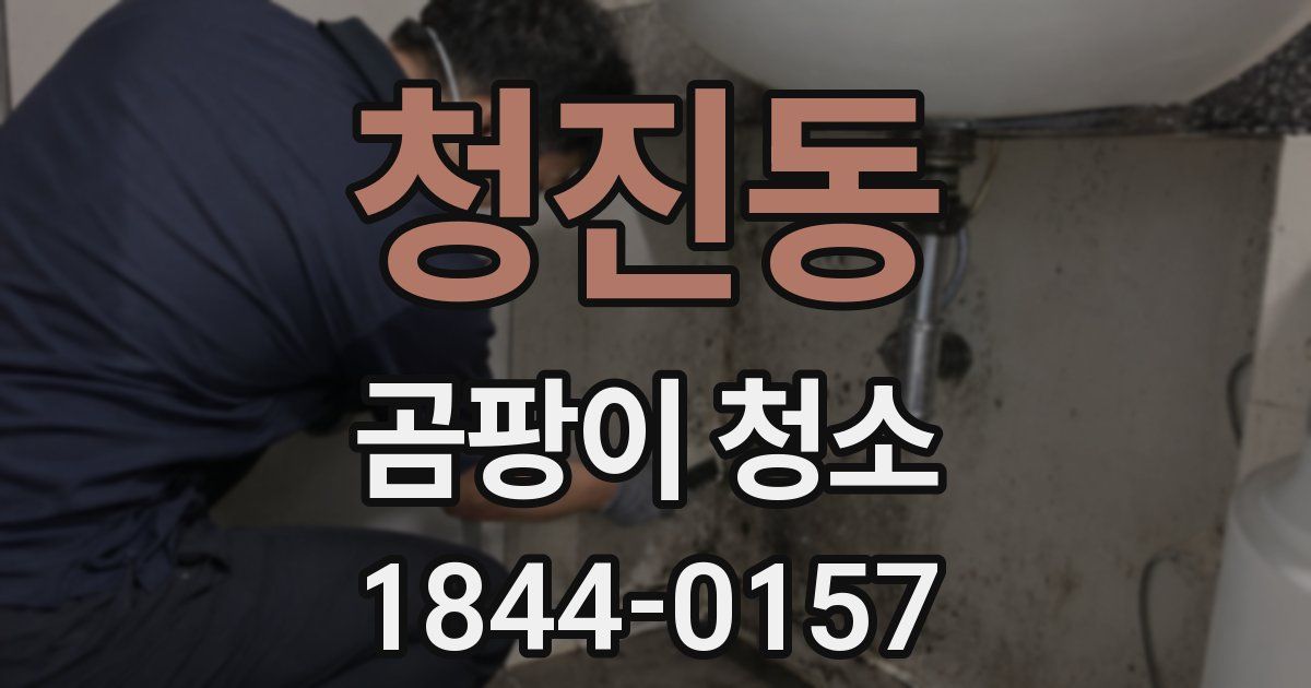 청진동 곰팡이 청소