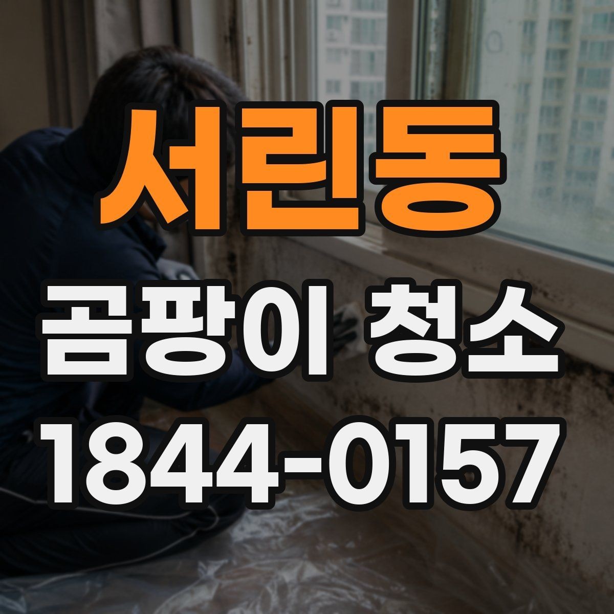 서린동 곰팡이 청소 주방 후드 주변 오염까지 함께 보는 이유