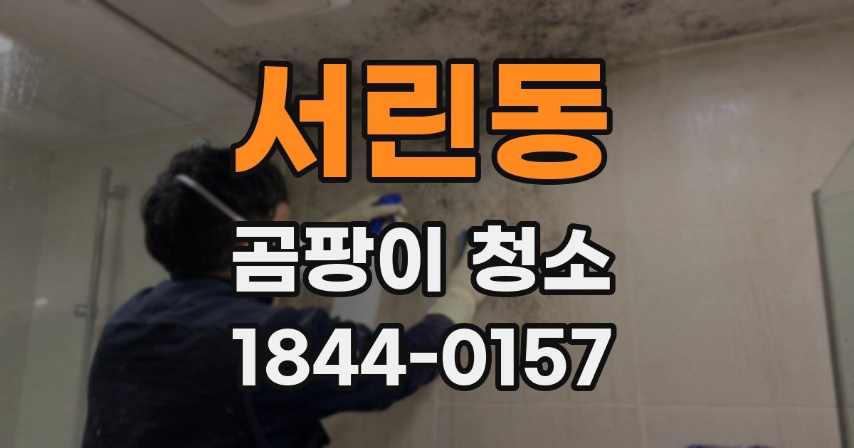서린동 곰팡이 청소