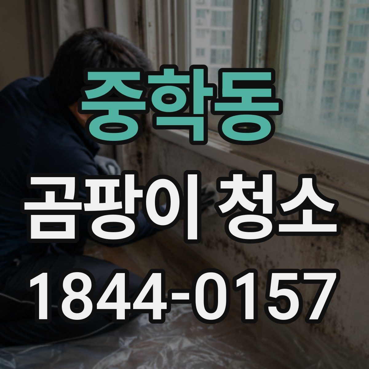 중학동 곰팡이 청소 주방 싱크대 아래에서 먼저 확인할 습기 흔적