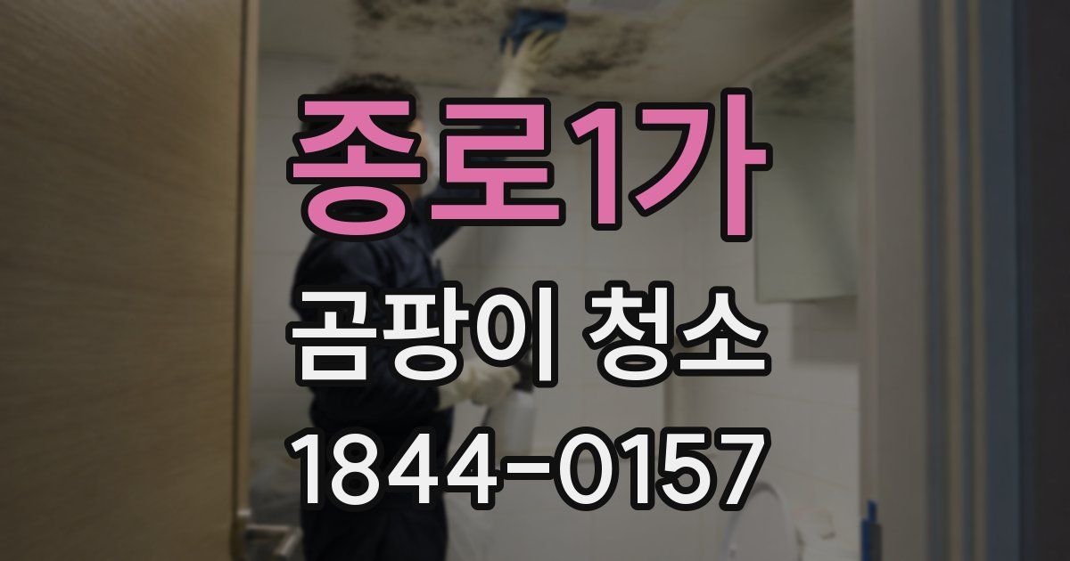 종로1가 곰팡이 청소