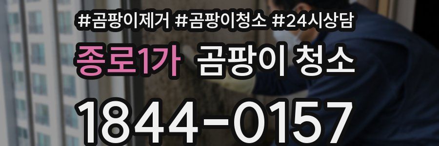 종로1가 곰팡이 청소
