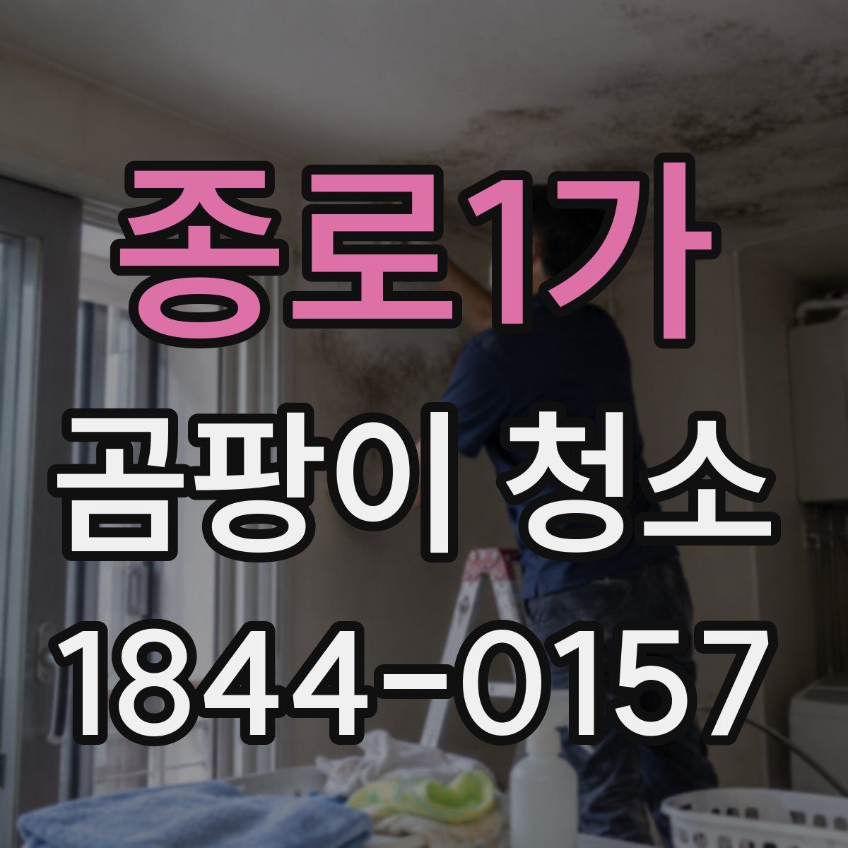 종로1가 곰팡이 청소