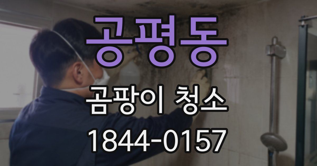 공평동 곰팡이 청소