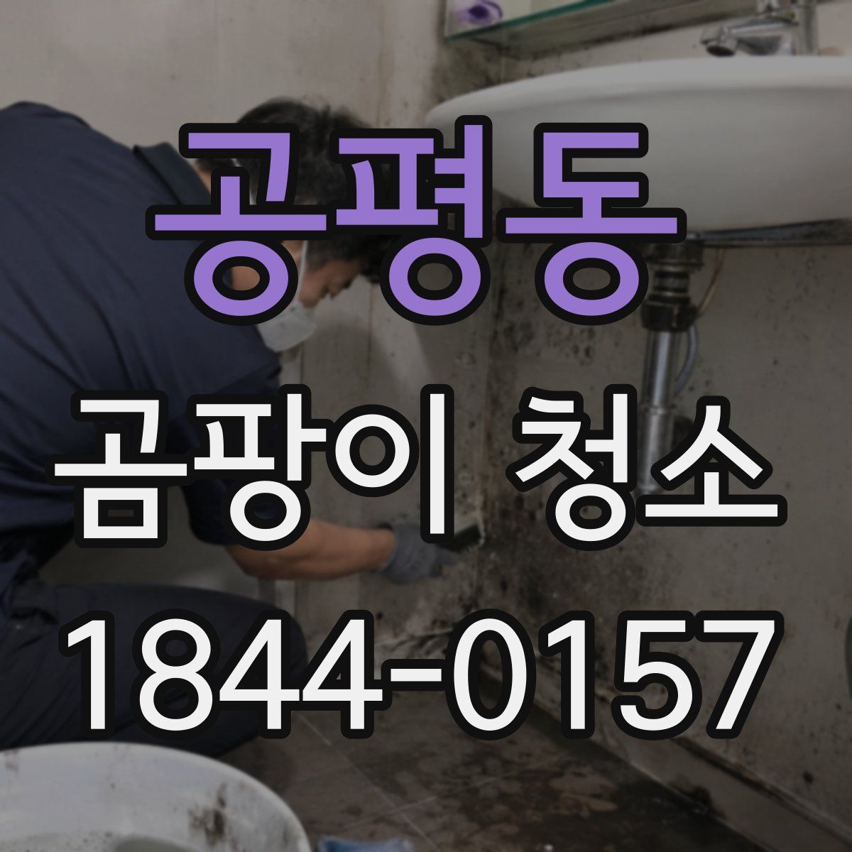 공평동 곰팡이 청소