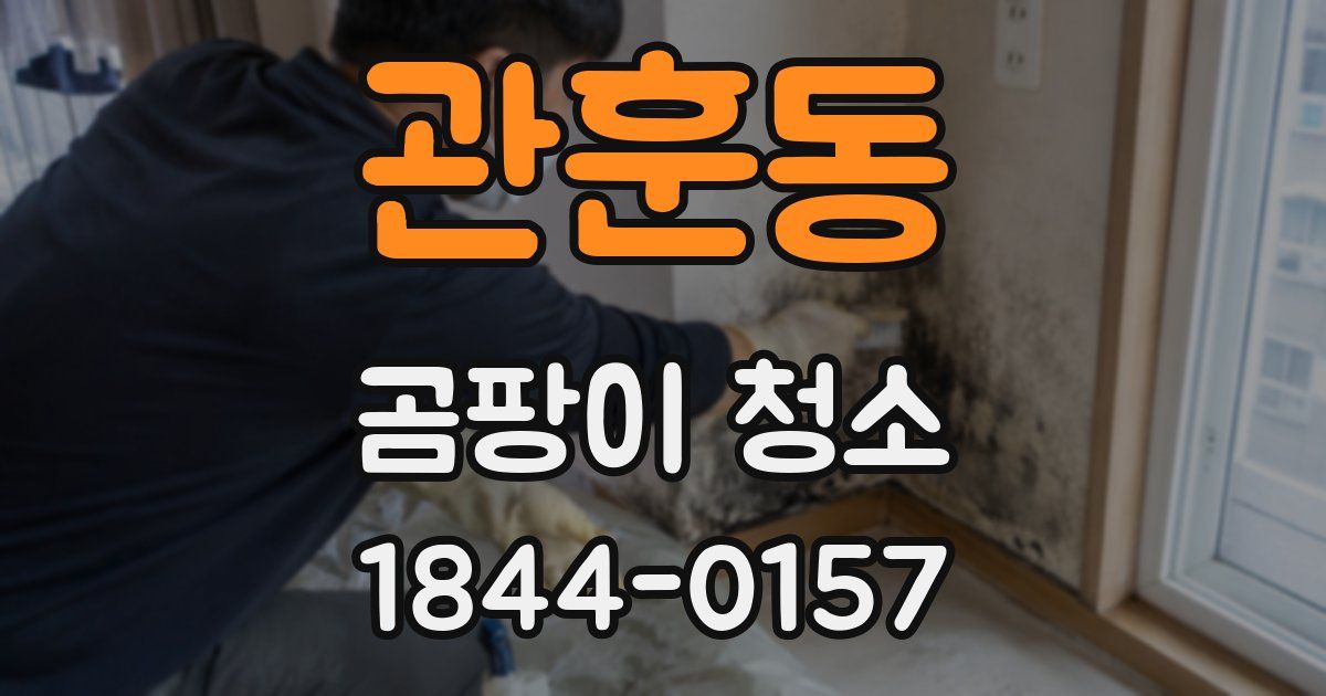 관훈동 곰팡이 청소