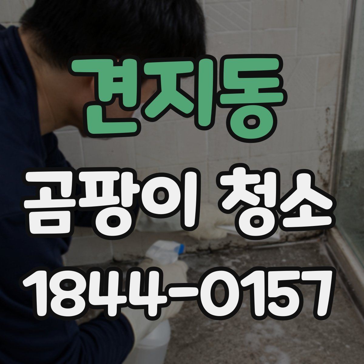 견지동 곰팡이 청소 포자 번짐을 막는 닦기 순서와 준비 방법