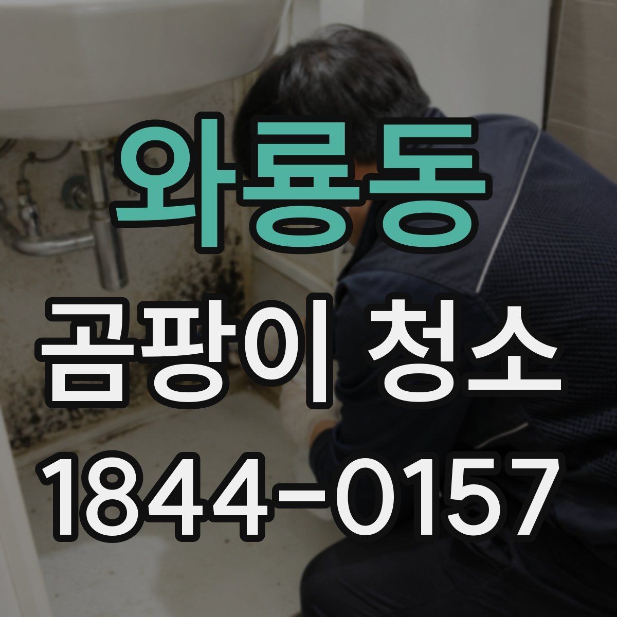 와룡동 곰팡이 청소 아이방에서 특히 조심해야 할 점