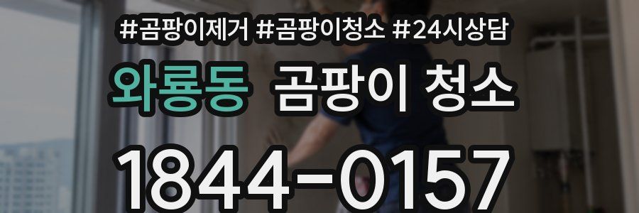 와룡동 곰팡이 청소