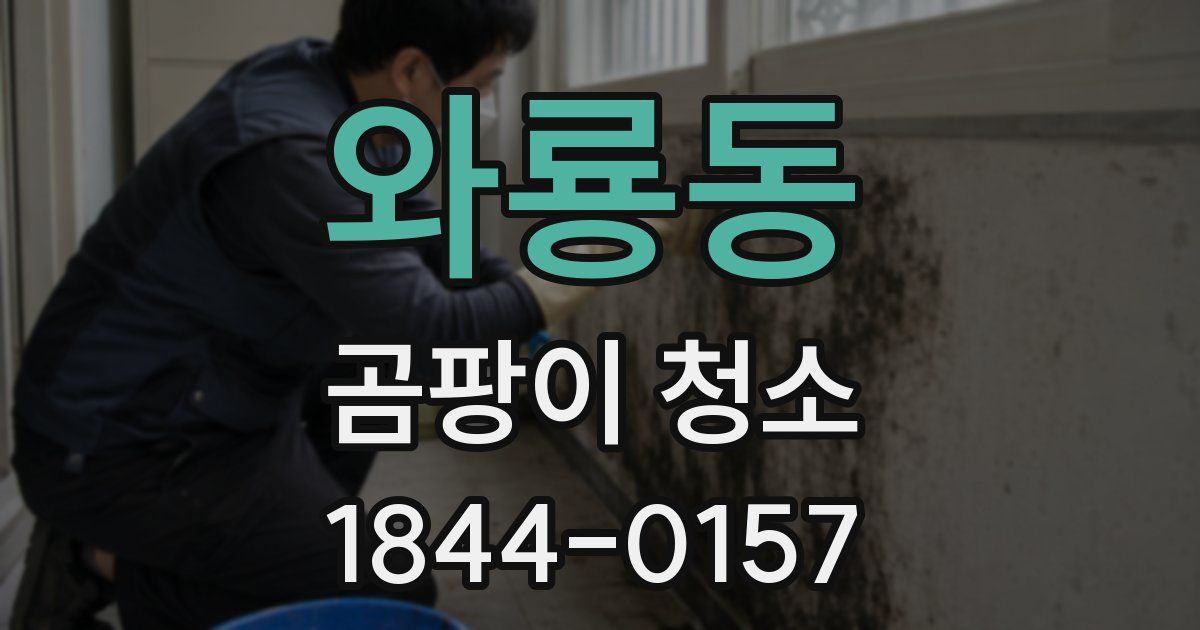 와룡동 곰팡이 청소