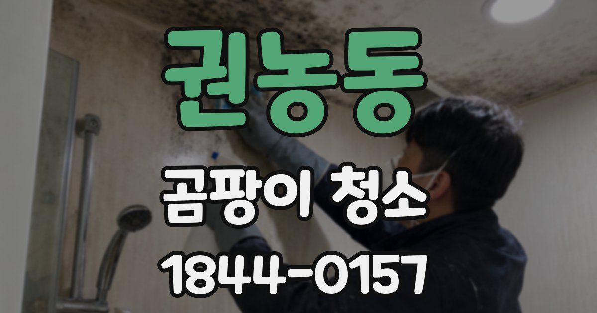 권농동 곰팡이 청소