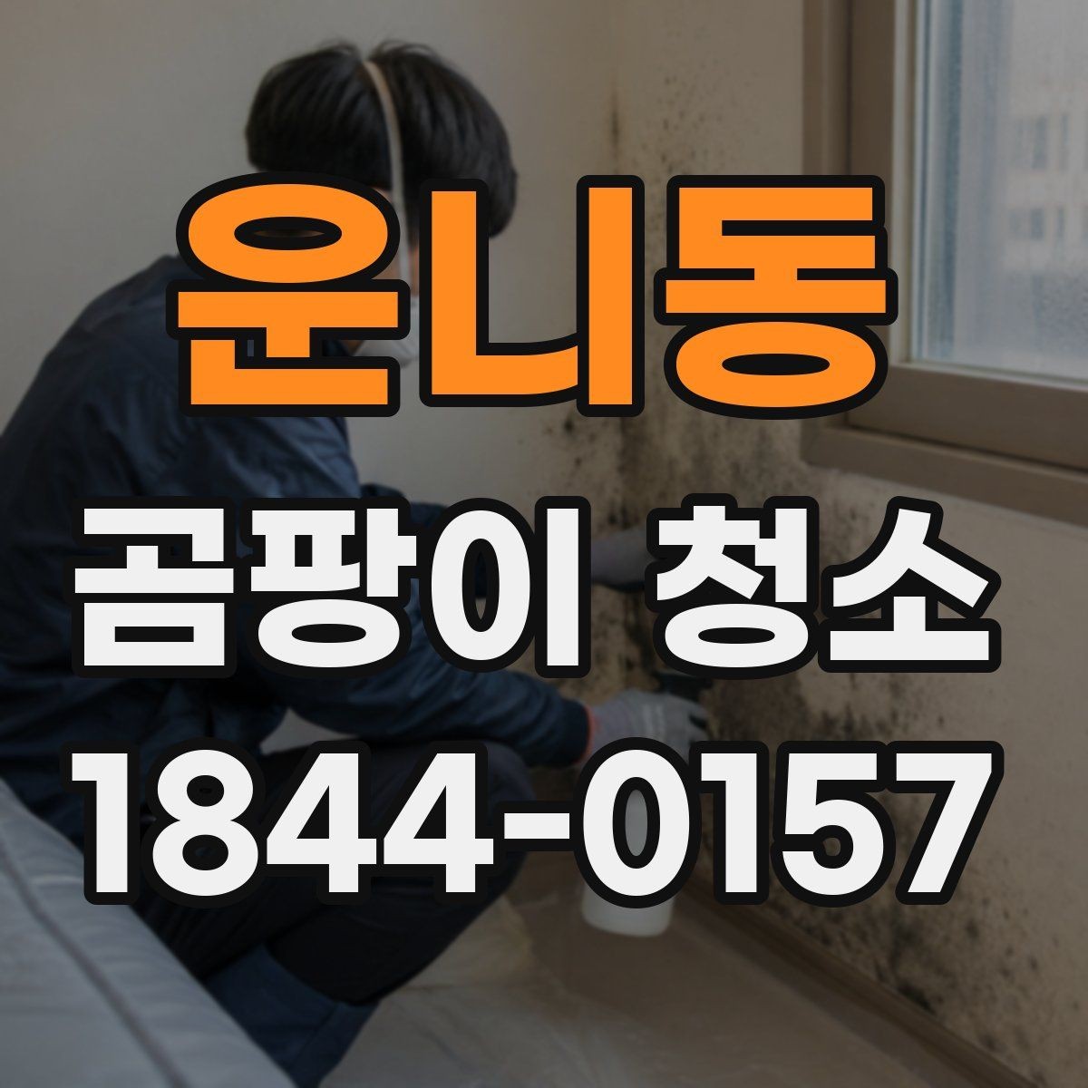 운니동 곰팡이 청소 욕실 타일 줄눈과 실리콘의 청소 방식 차이