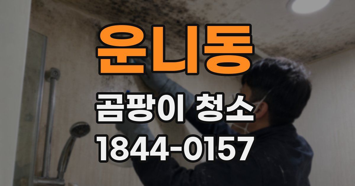 운니동 곰팡이 청소