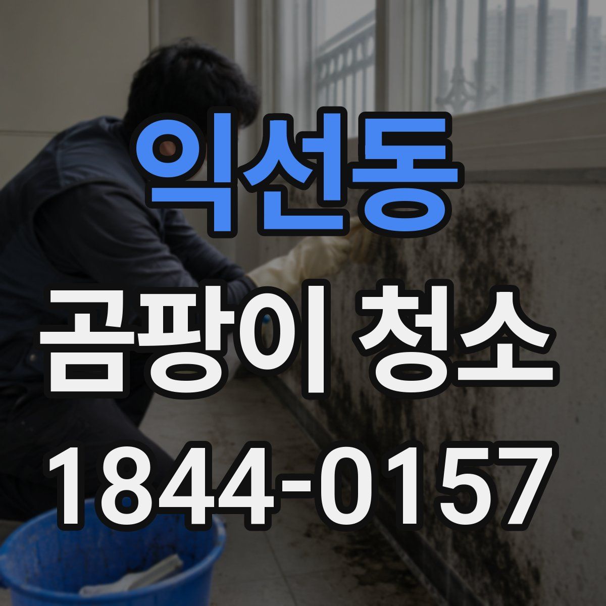 익선동 곰팡이 청소