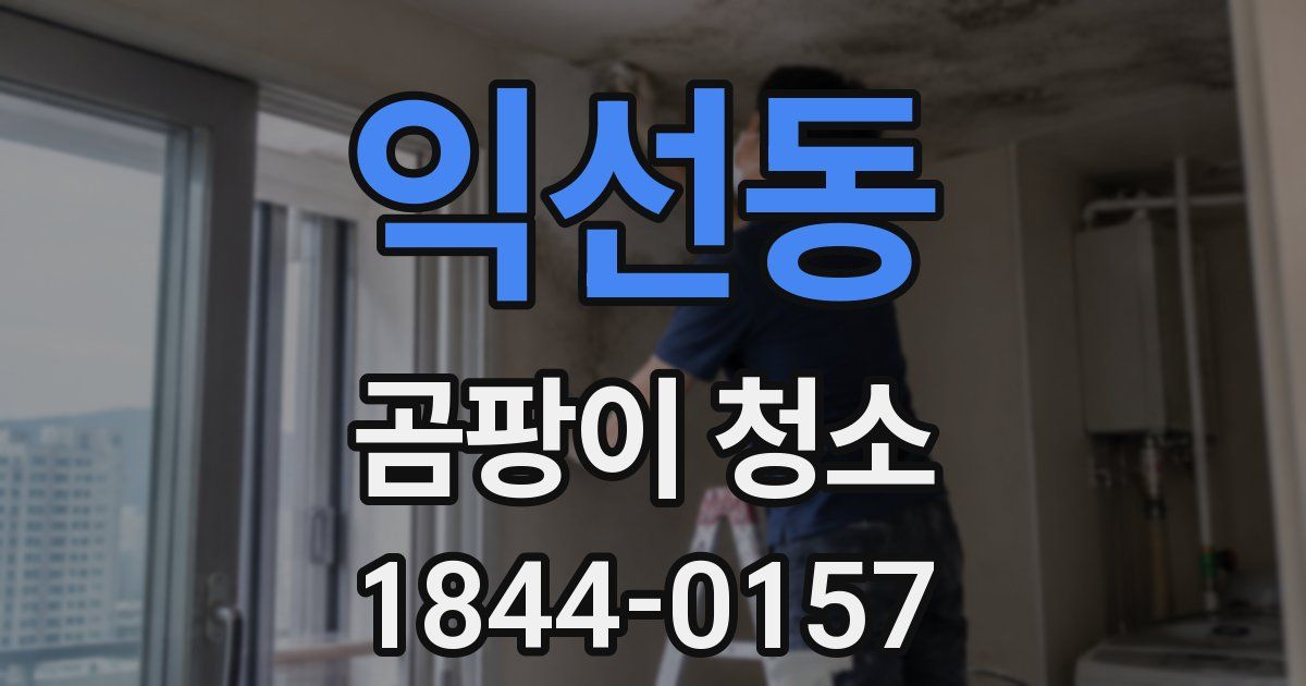 익선동 곰팡이 청소