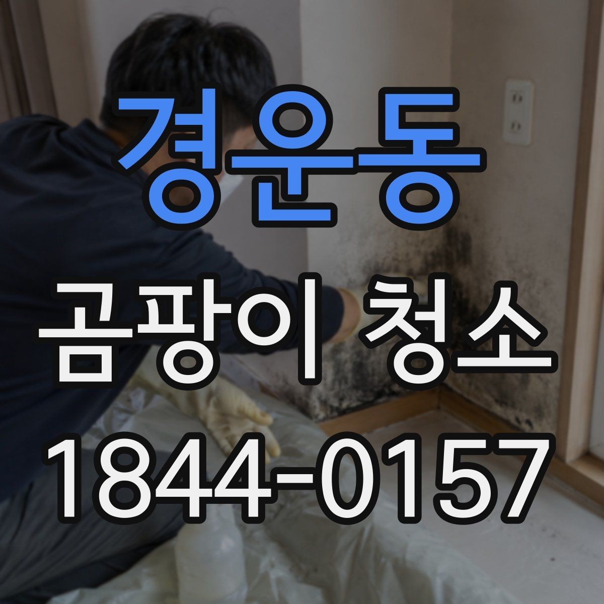 경운동 곰팡이 청소 주방 싱크대 주변 오염이 깊어질 때 확인할 점